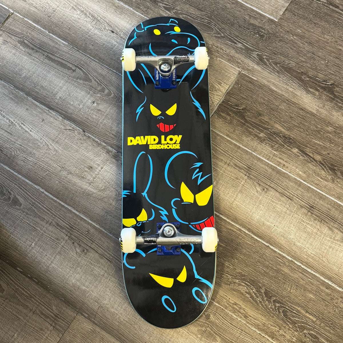 Birdhouse David Loy 8.5" Skateboard Complete