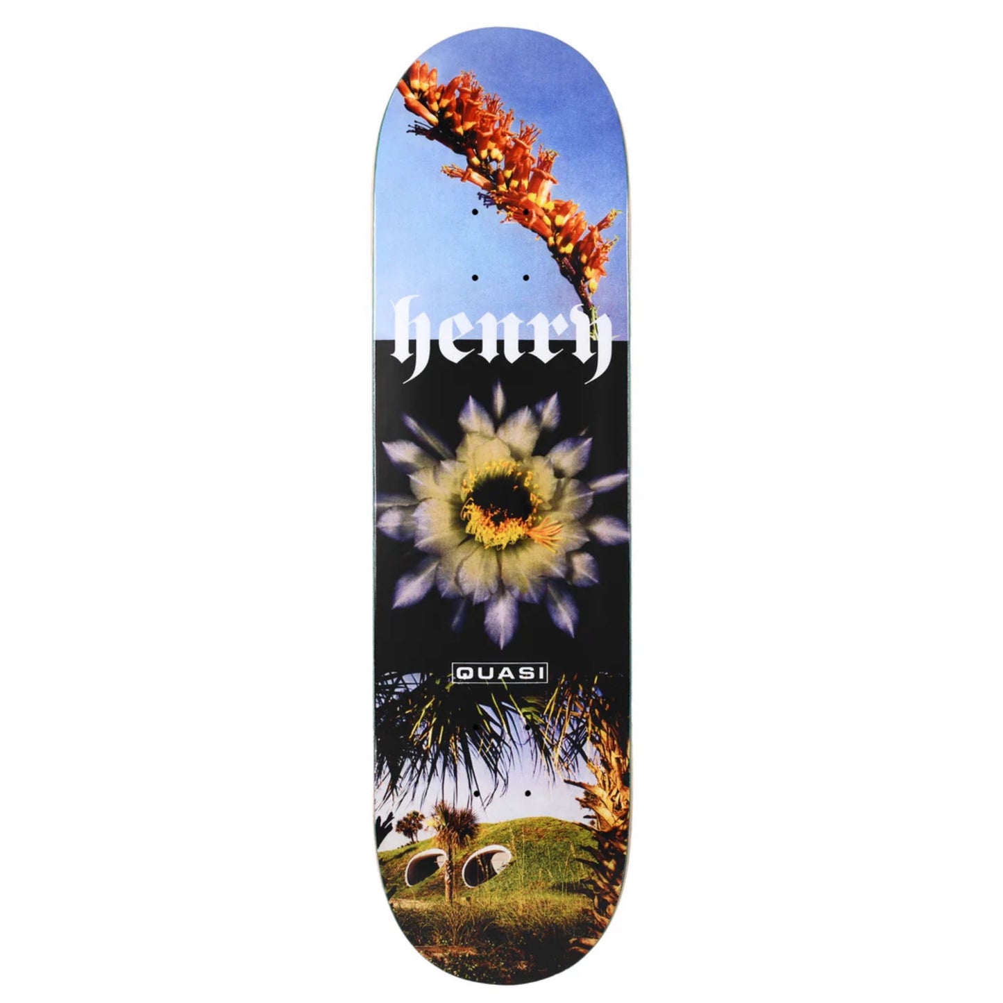 Quasi Henry Engel 8.375" Skateboard Deck